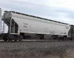 CGLX 2381